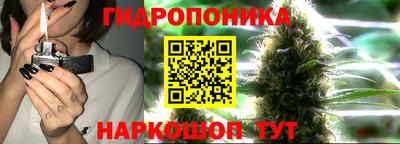 амф Краснознаменск