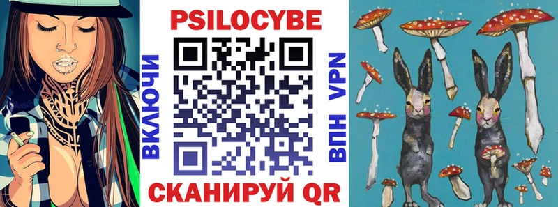 Галлюциногенные грибы Psilocybine cubensis  Кинель 