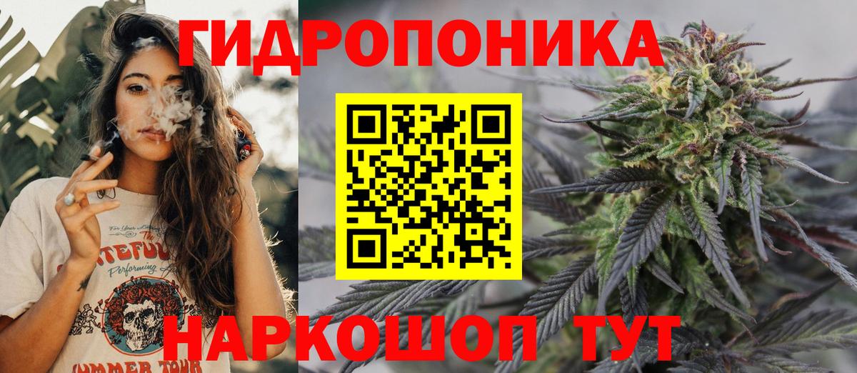 Конопля конопля Кинель