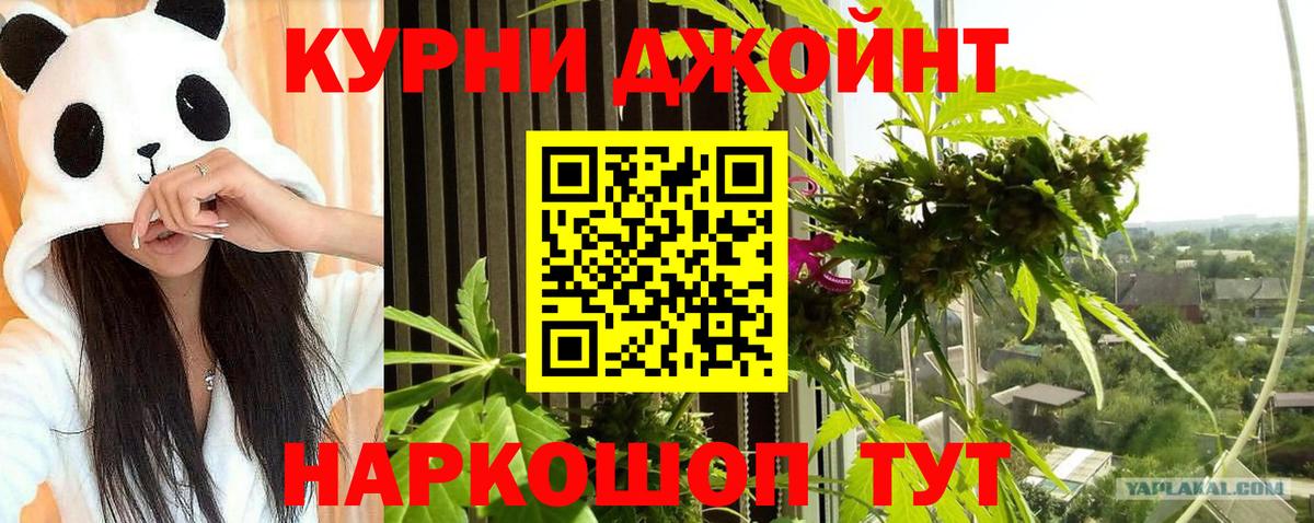 Марихуана индика  Бошки Шишки AK-47  Бошки марихуана тримм  Кинель  Вход с VPN 